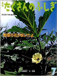 野菜の花が咲いたよ / 北條純之 / たくさんのふしぎ