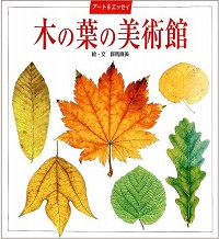 木の葉の美術館　アート＆エッセイ